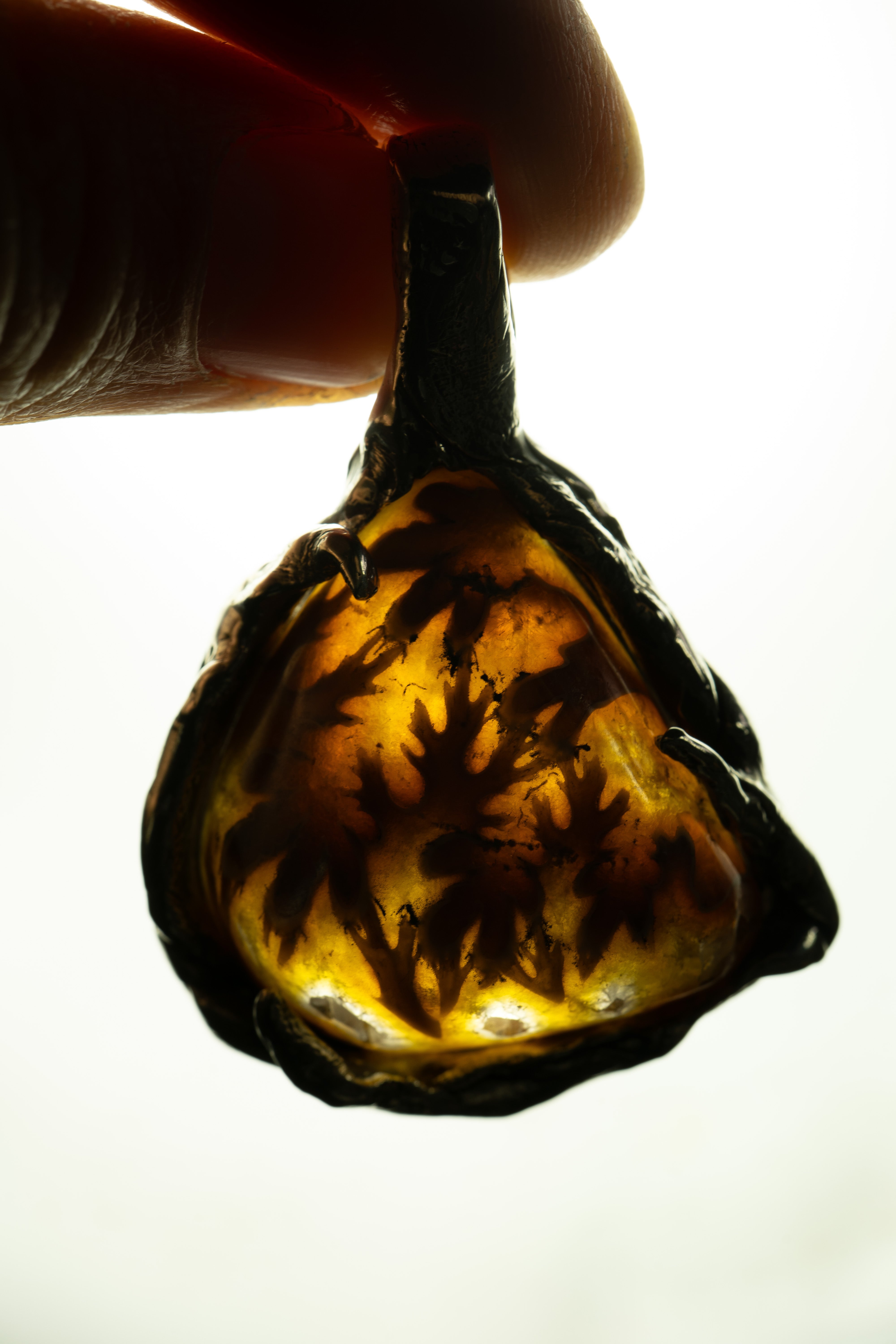 Ammonite Crystal Chambers (Ammonite, Sterling Silver Pendant)